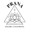 Prana